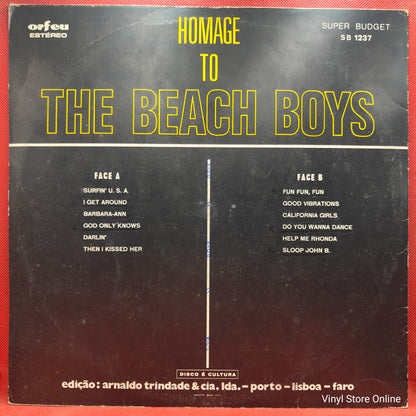 Unknown Artist ‎– Homage To The Beach Boys