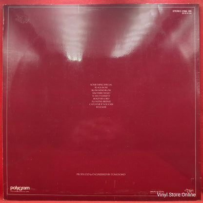 Eric Clapton ‎– Another Ticket