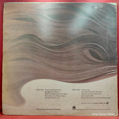 Carpenters ‎– Made In America