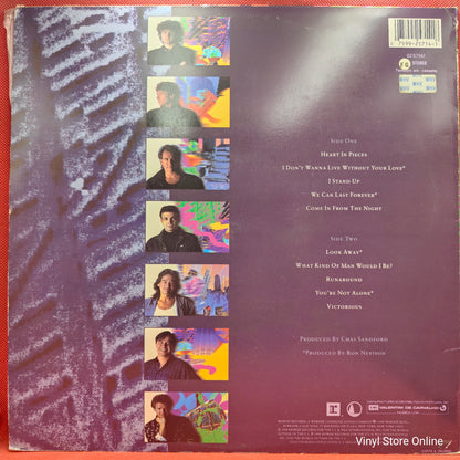 Chicago ‎– Chicago 19