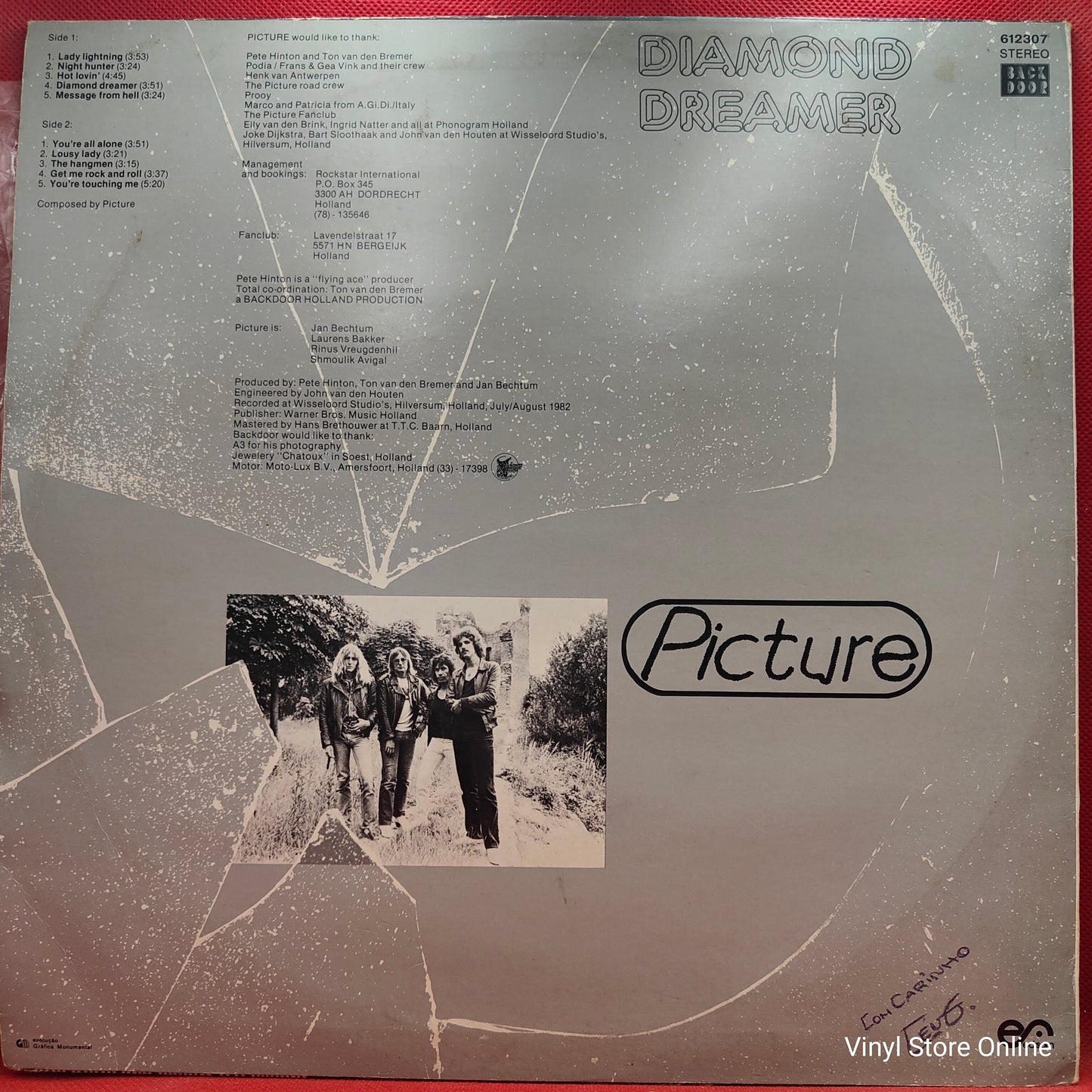 Picture ‎– Diamond Dreamer