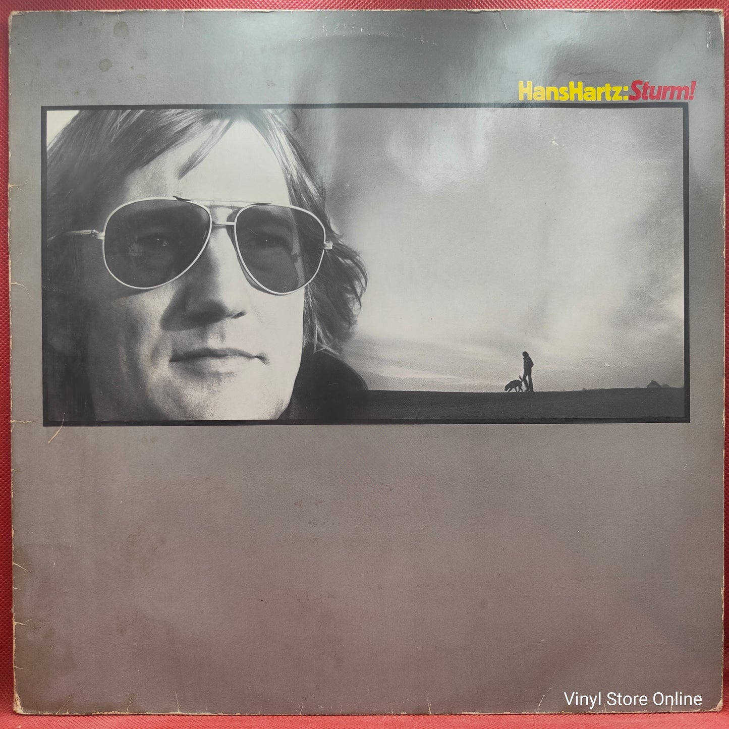 Hans Hartz ‎– Sturm!