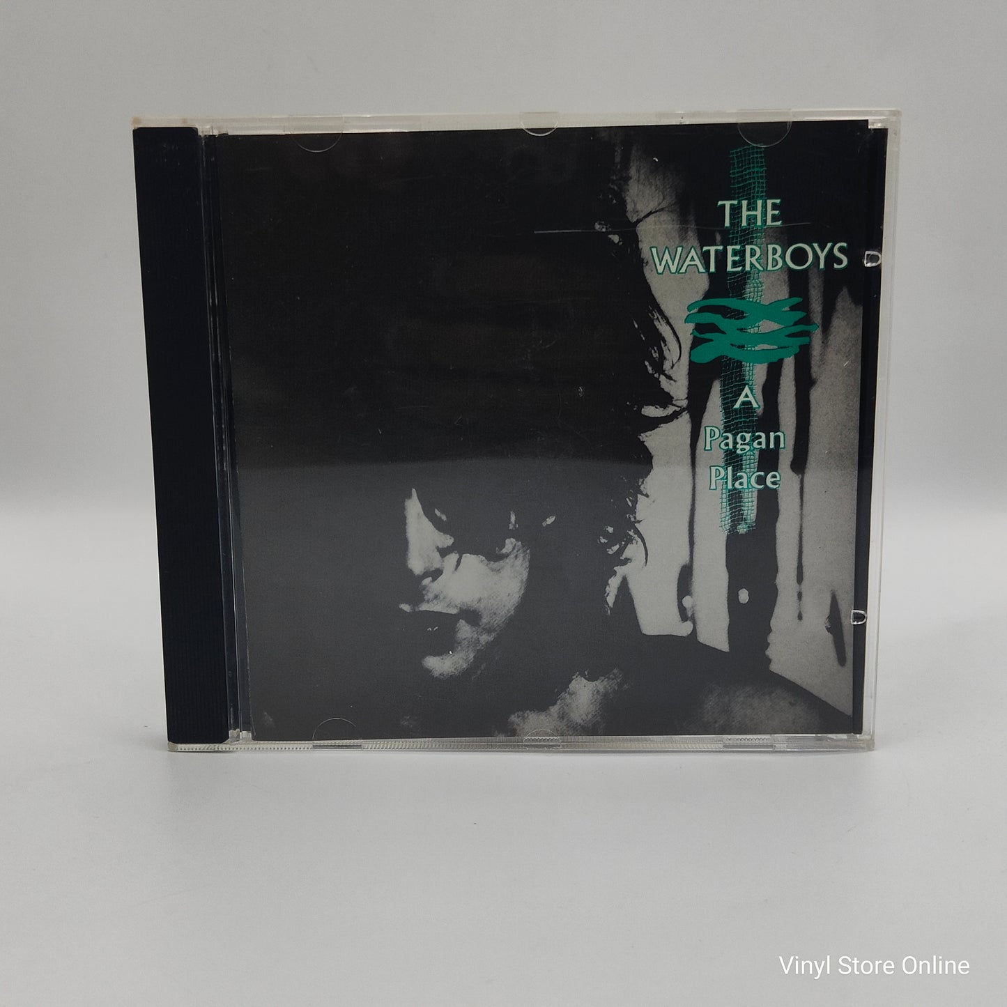 The Waterboys ‎– A Pagan Place