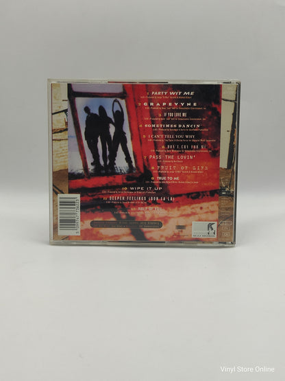 Brownstone ‎– From The Bottom Up