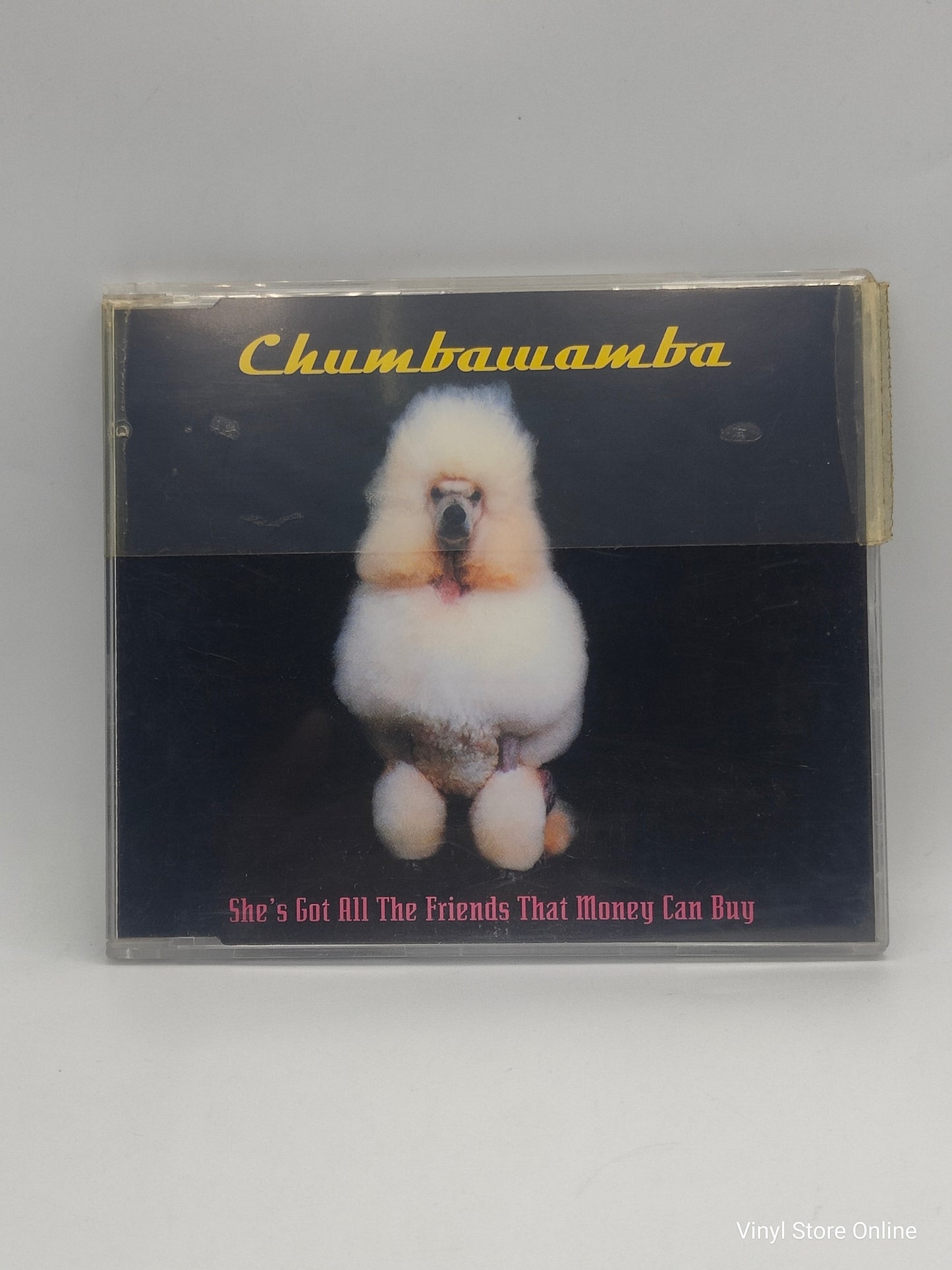 Chumbawamba ‎– She's Got All The Friends That Money Can Buy