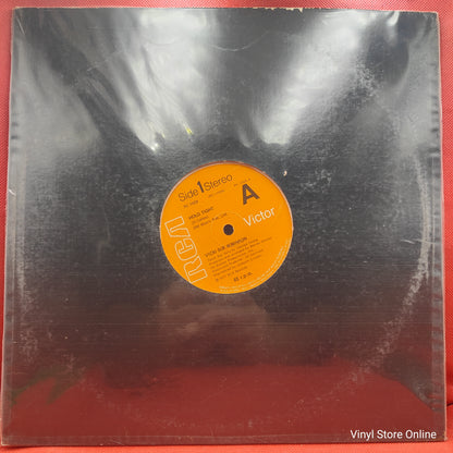 Vicki Sue Robinson ‎– Hold Tight