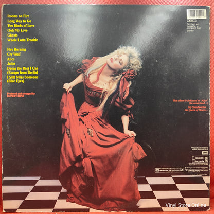 Stevie Nicks ‎– The Other Side Of The Mirror