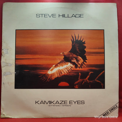 Steve Hillage ‎– Kamikaze Eyes