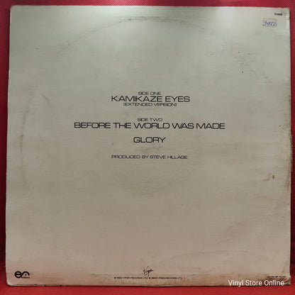 Steve Hillage ‎– Kamikaze Eyes