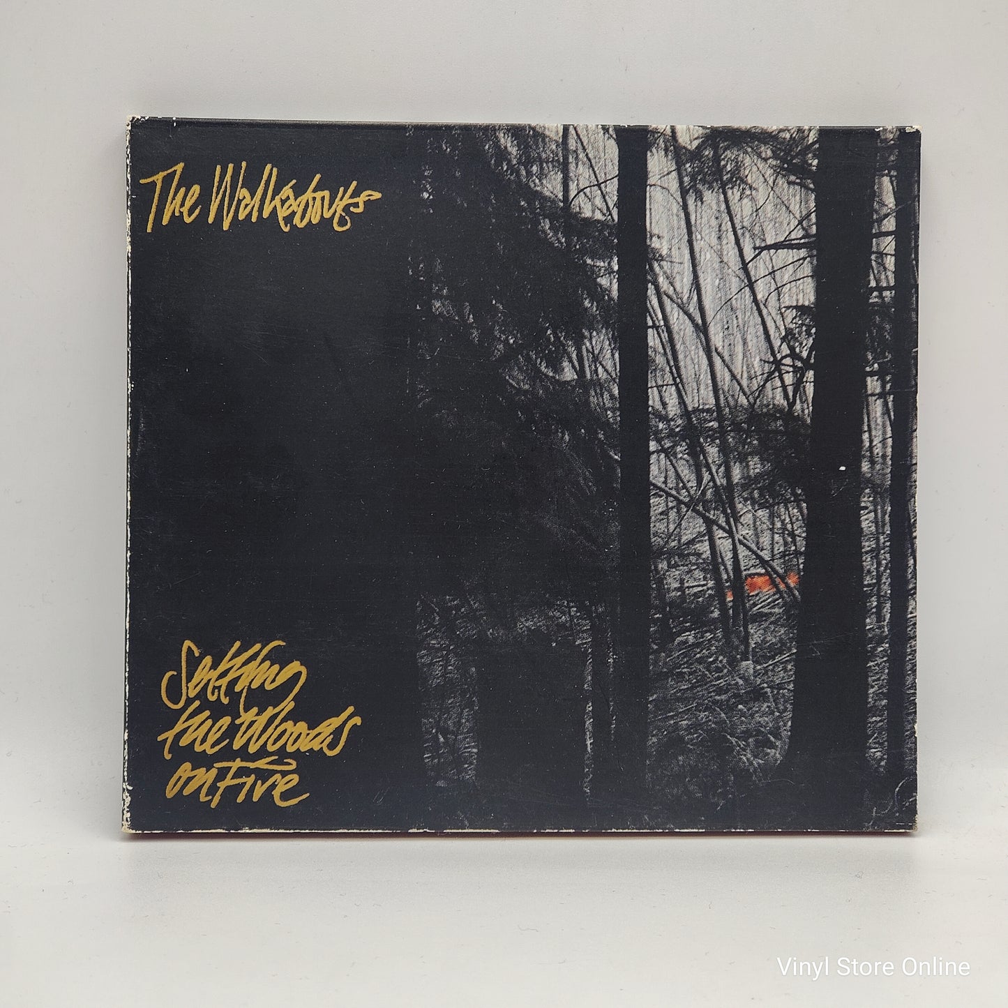 The Walkabouts ‎– Setting The Woods On Fire