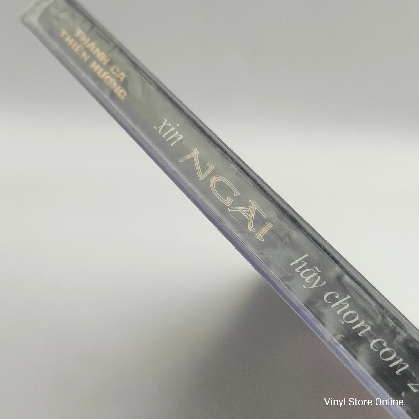 Varios - Xin Ngai Hay Chon Con 2 (Thai Song)