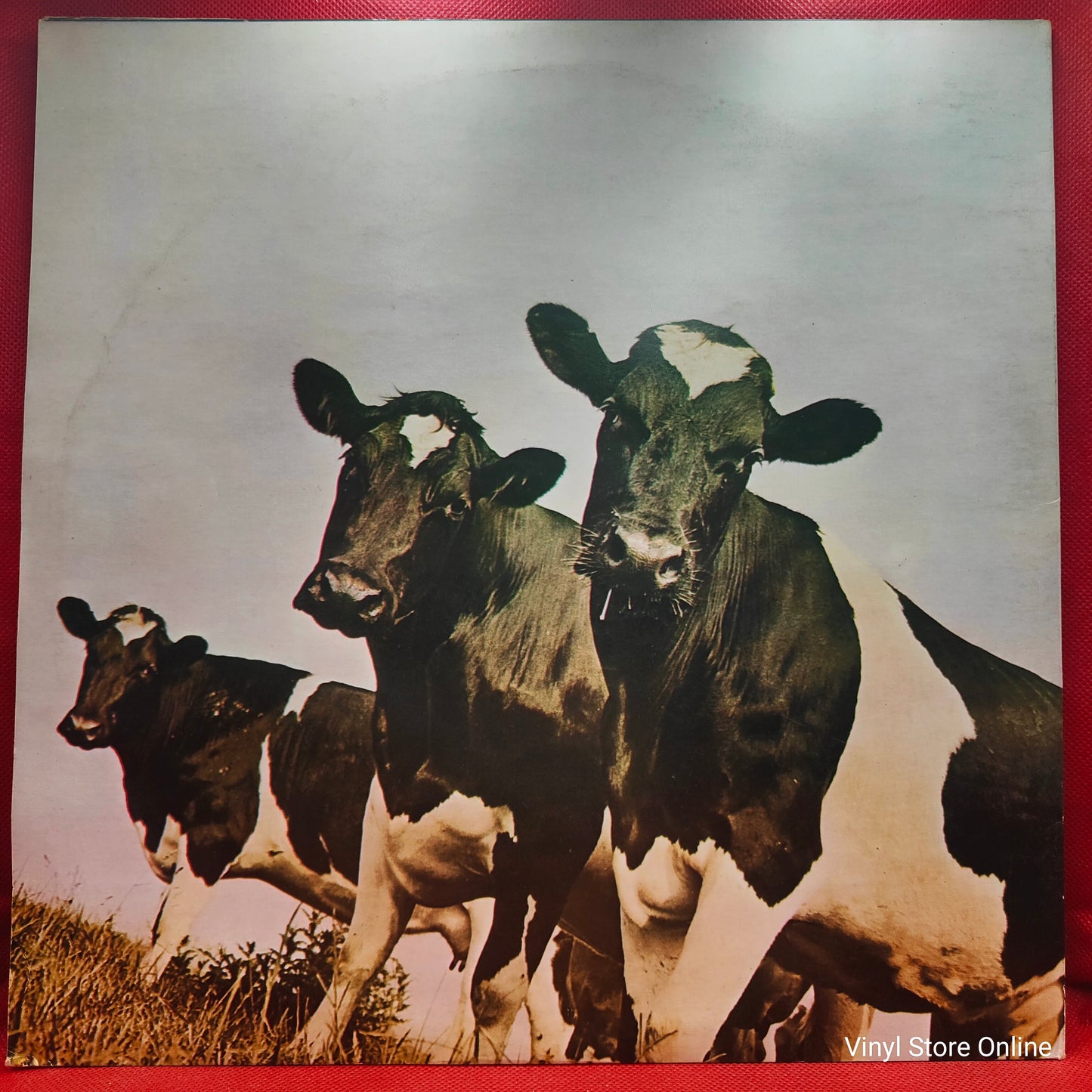 Pink Floyd ‎– Atom Heart Mother