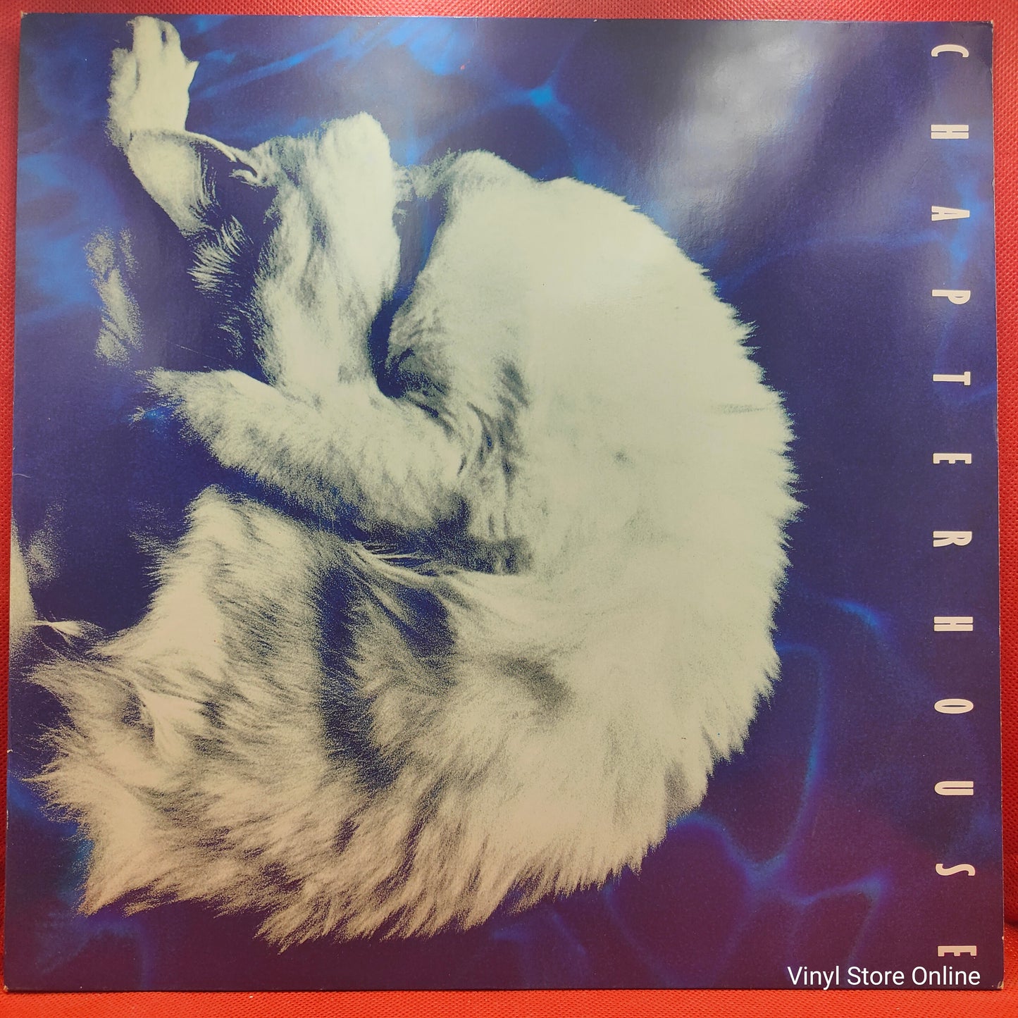 Chapterhouse ‎– Whirlpool