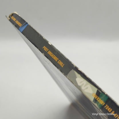 Skunk Anansie ‎– Post Orgasmic Chill