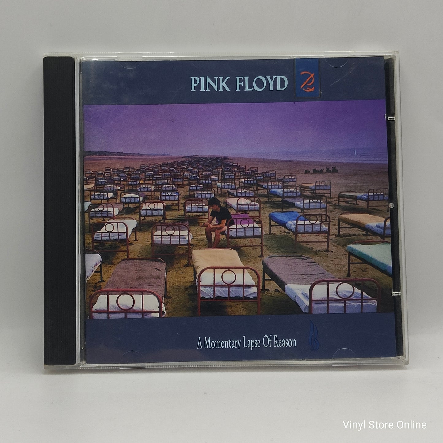 Pink Floyd ‎– A Momentary Lapse Of Reason