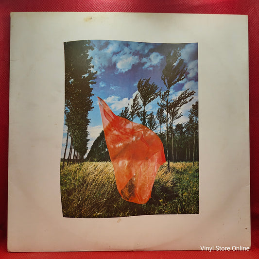 Pink Floyd ‎– Wish You Were Here