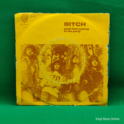 Bitch ‎– Good Time Coming / At The Party