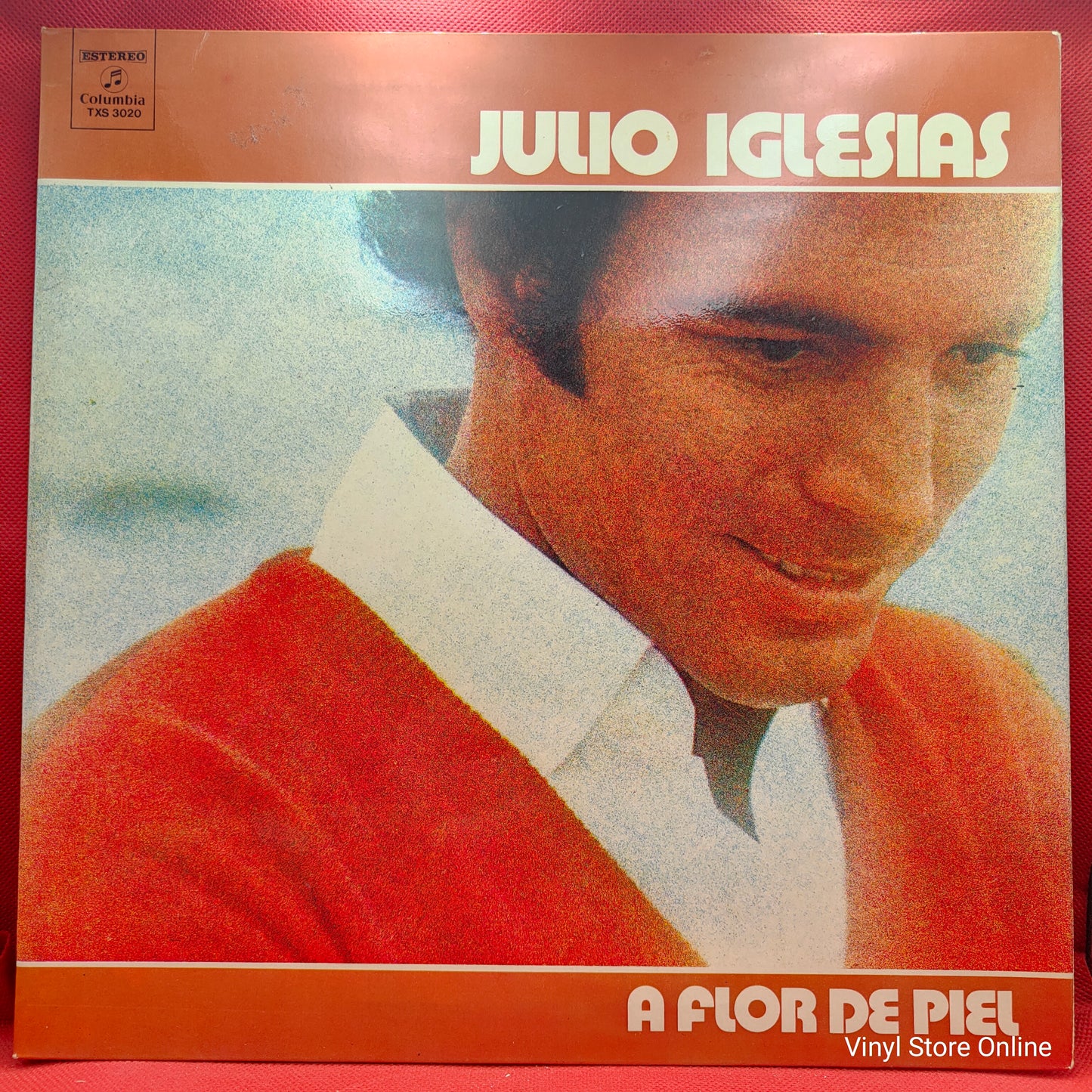 Julio Iglesias ‎– A Flor De Piel