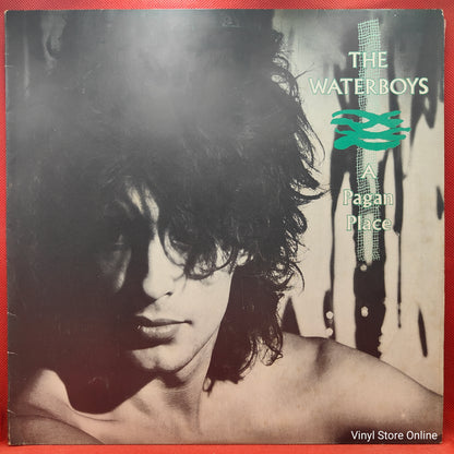 The Waterboys ‎– A Pagan Place