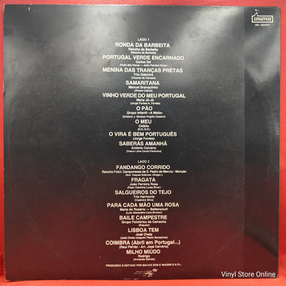 Various ‎– 17 Super Êxitos Da Nossa Terra