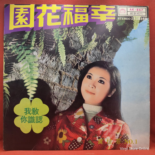 黃桂芬* - 幸福花園 (LP, Album)