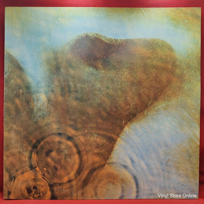 Pink Floyd - Meddle (LP, Album, RE, Gat)