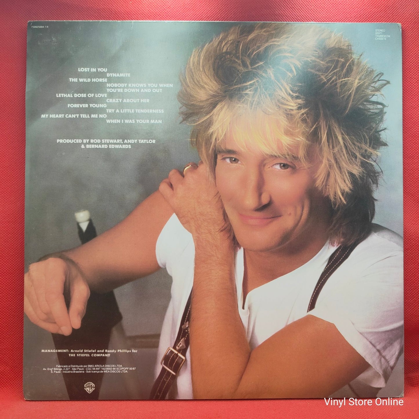 Rod Stewart - Out Of Order (LP, Album)