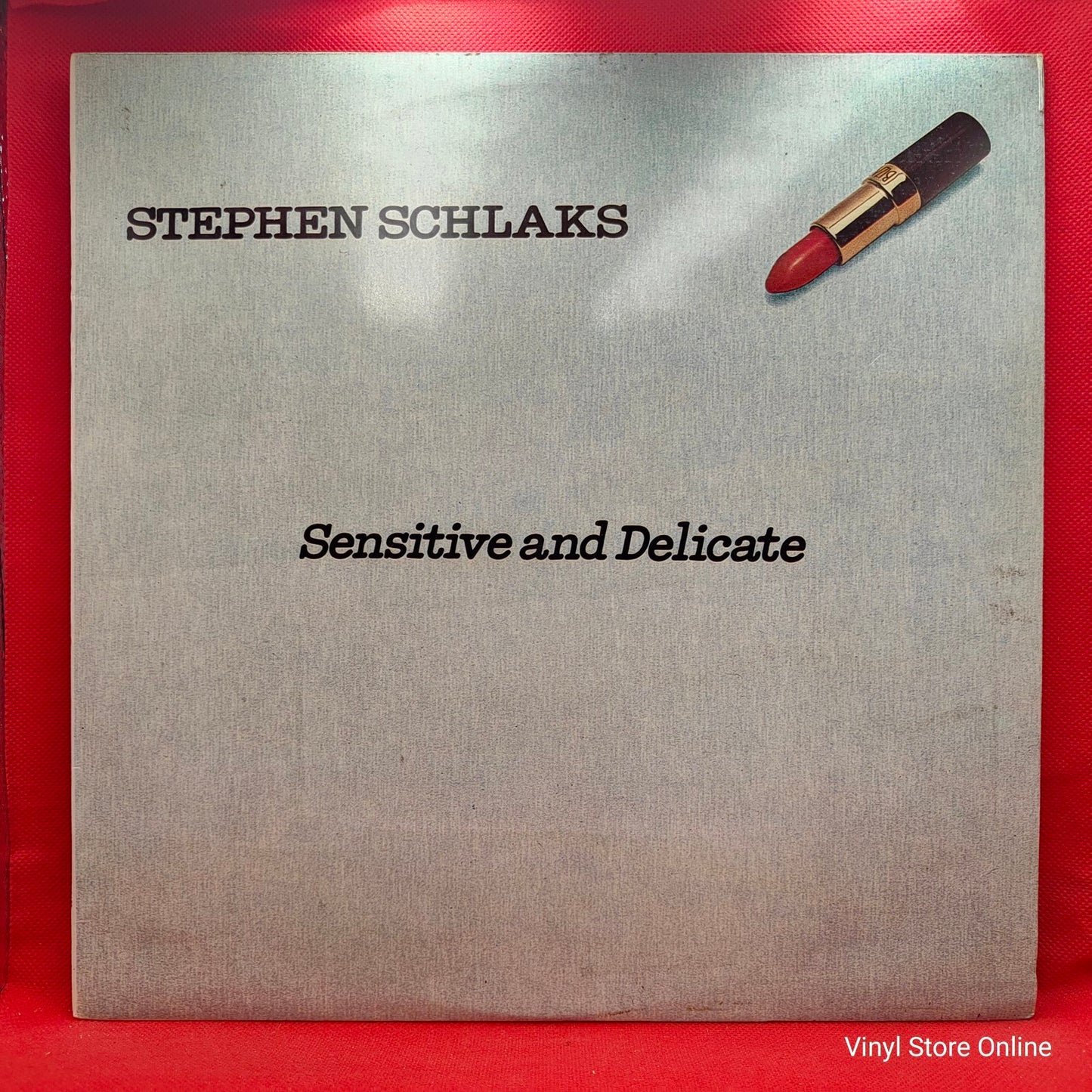 Stephen Schlaks - Sensitive And Delicate (LP)