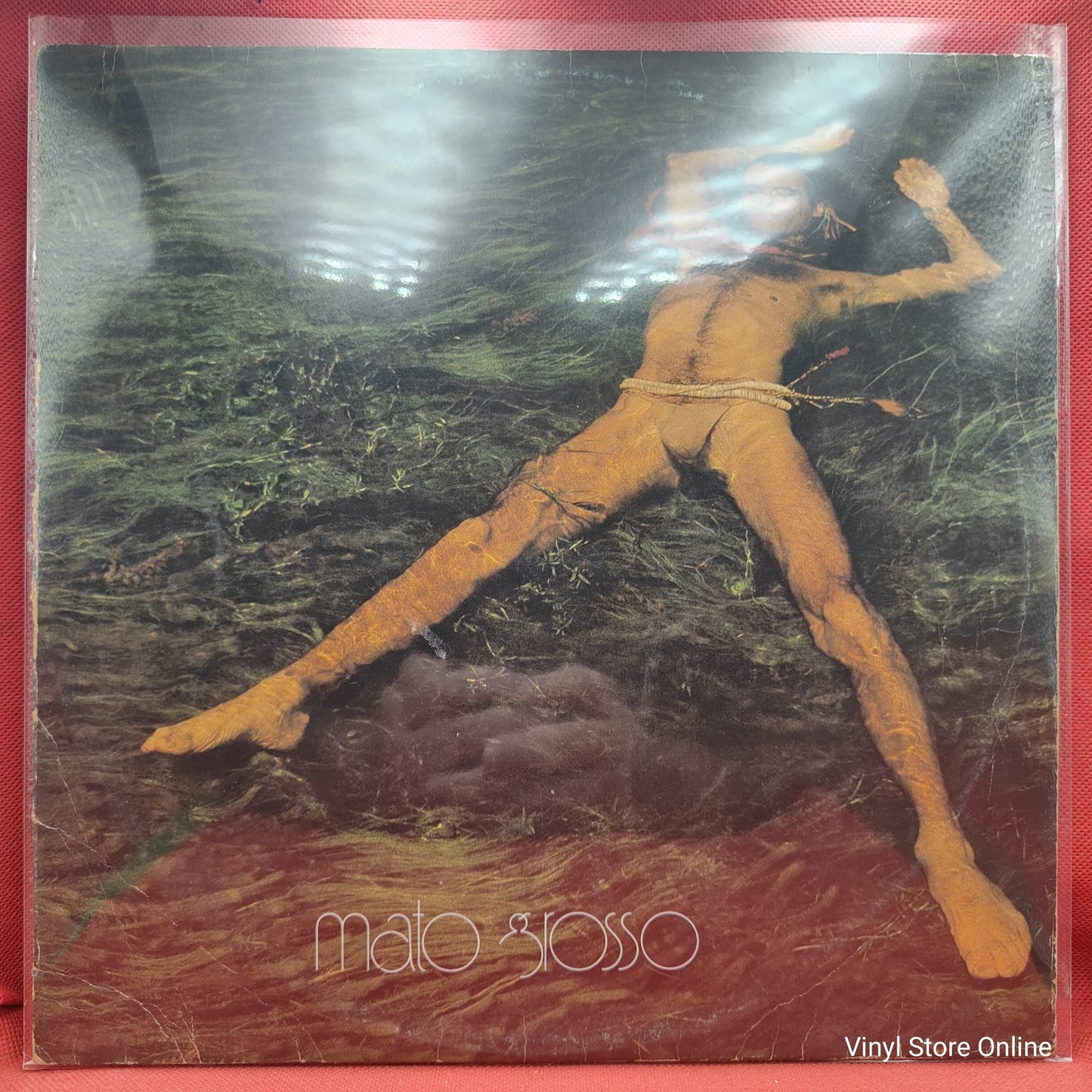 Ney Matogrosso - Mato Grosso (LP)