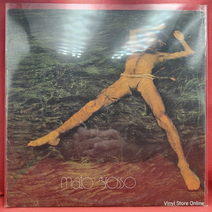 Ney Matogrosso - Mato Grosso (LP)