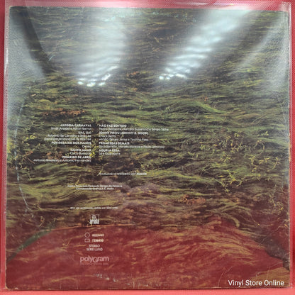 Ney Matogrosso - Mato Grosso (LP)