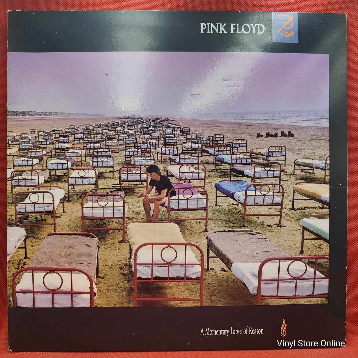 Pink Floyd - A Momentary Lapse Of Reason (LP)