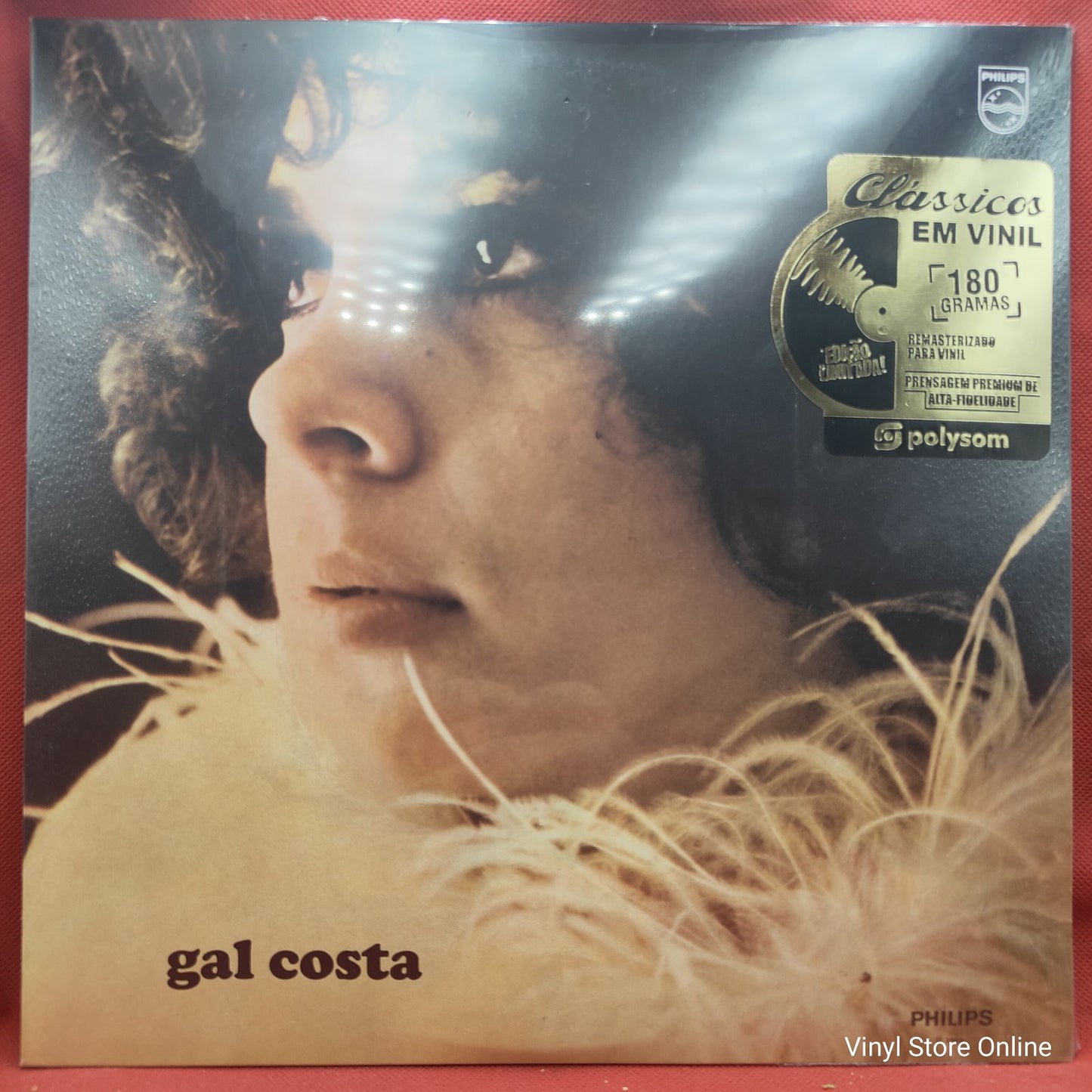 Gal Costa - Gal Costa (LP)