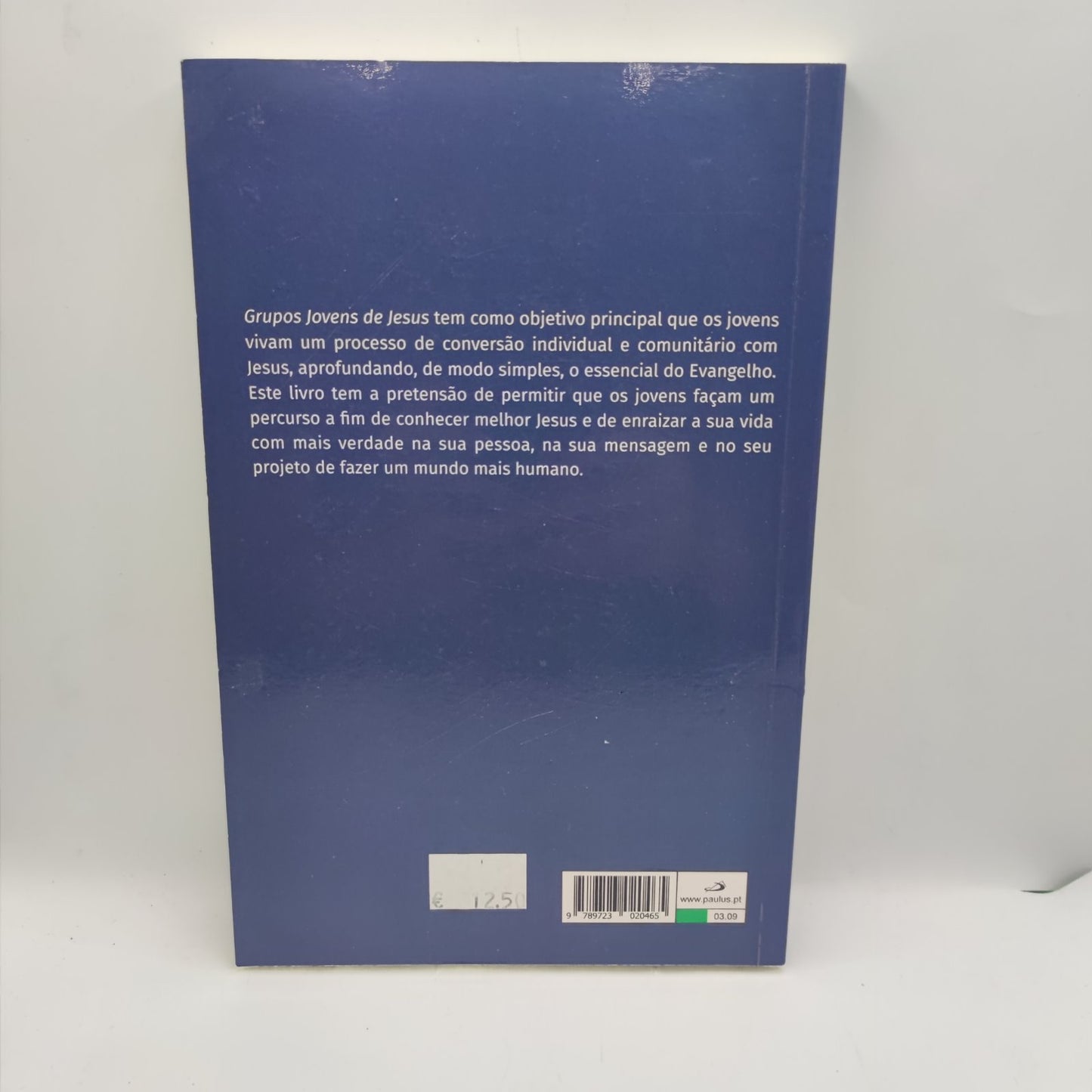 Livro- Grupos de jovens de jesus