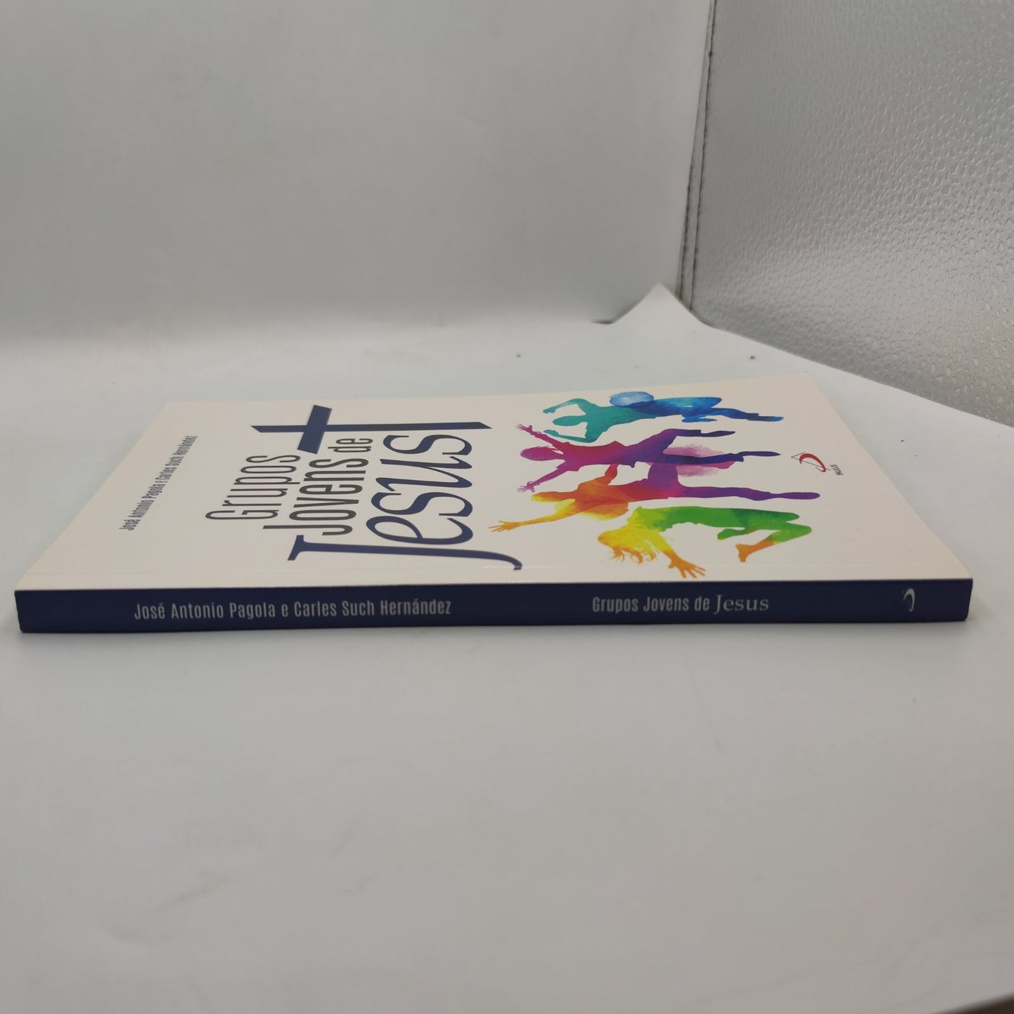 Livro- Grupos de jovens de jesus