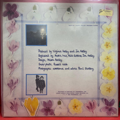 Virginia Astley ‎– Melt The Snow