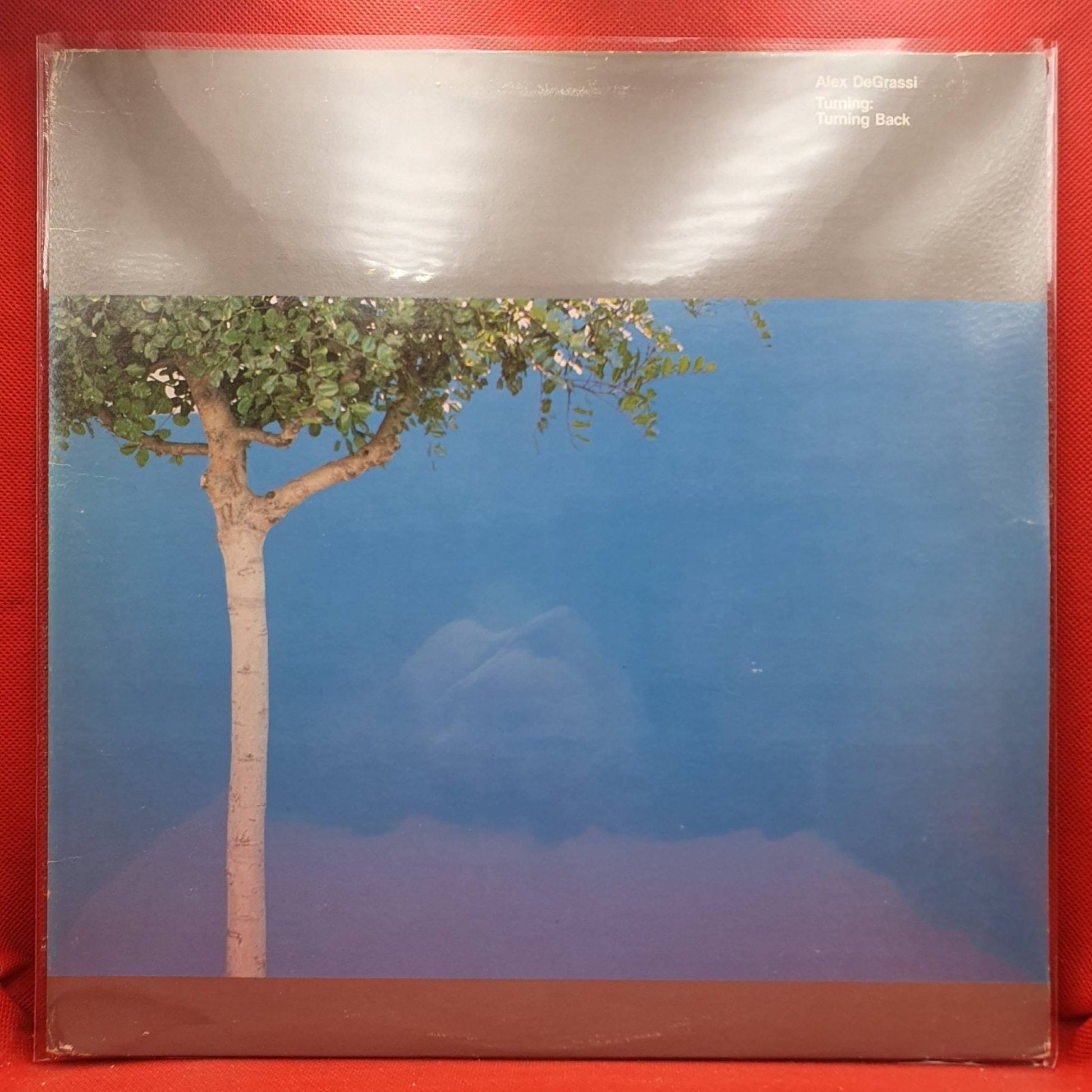 Alex De Grassi ‎– Turning: Turning Back - Vinyl Store Online