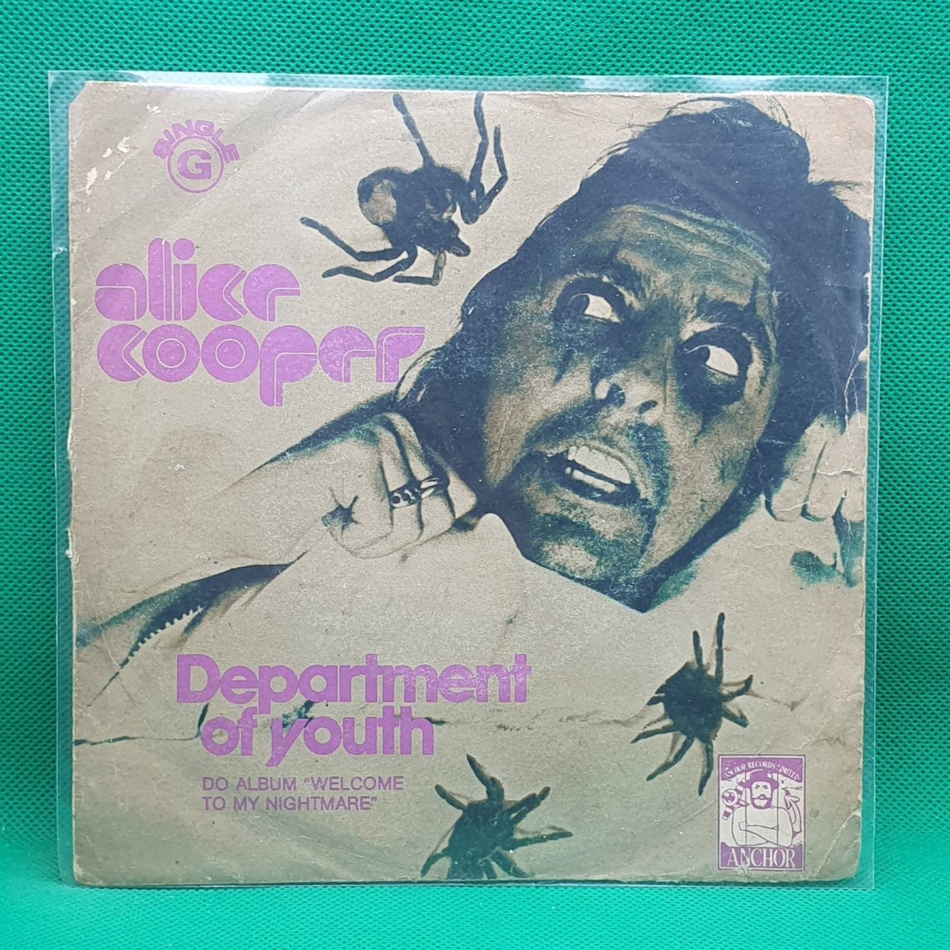 Alice Cooper ‎– Department Of Youth - Vinyl Store Online