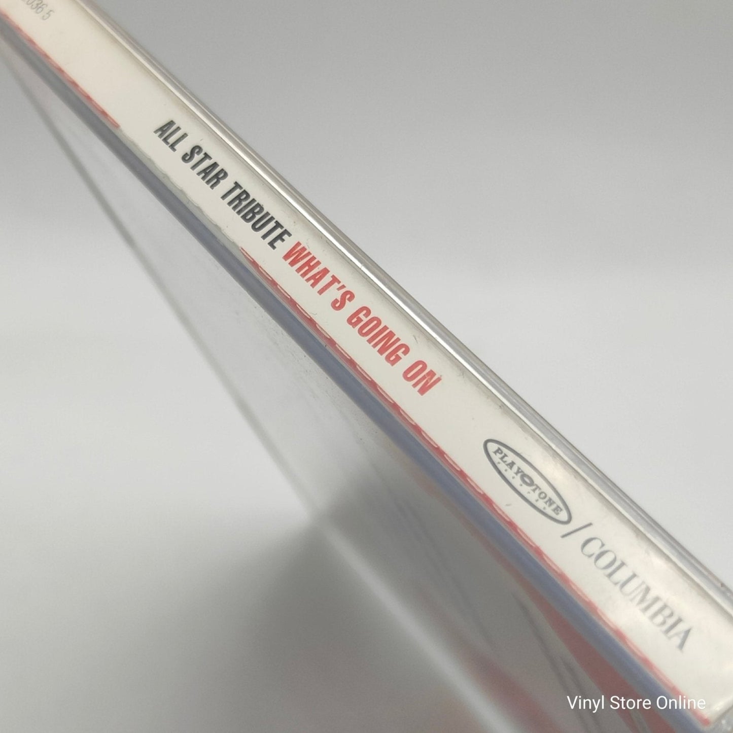 Artists Against AIDS Worldwide ‎– What's Going On - Vinyl Store Online