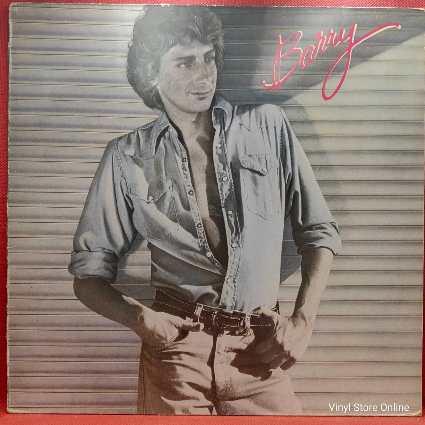 Barry Manilow ‎– Barry - Vinyl Store Online