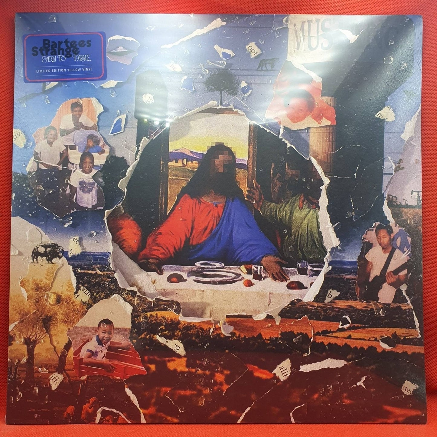 Bartees Strange ‎– Farm To Table - Vinyl Store Online
