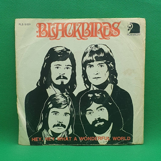 Blackbirds ‎– Hey, Hey, What A Wonderful World - Vinyl Store Online