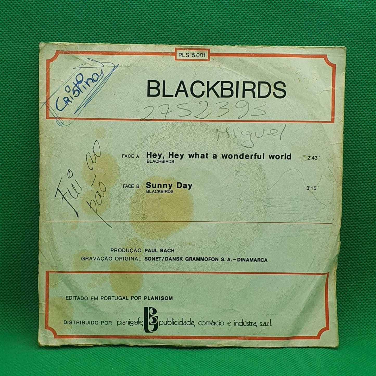 Blackbirds ‎– Hey, Hey, What A Wonderful World - Vinyl Store Online