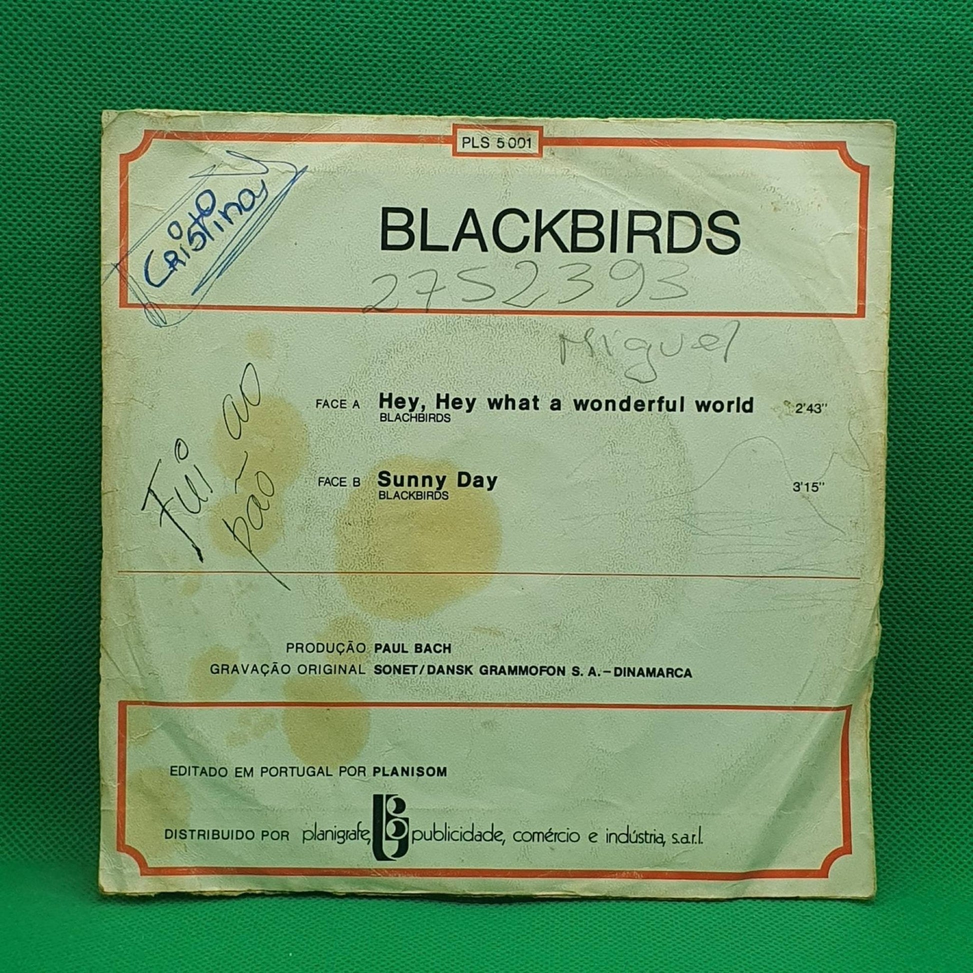 Blackbirds ‎– Hey, Hey, What A Wonderful World - Vinyl Store Online