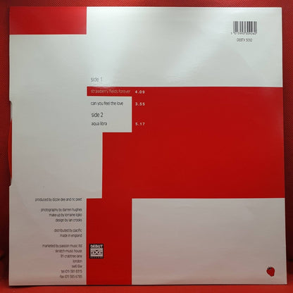Candy Flip ‎– Strawberry Fields Forever - Vinyl Store Online