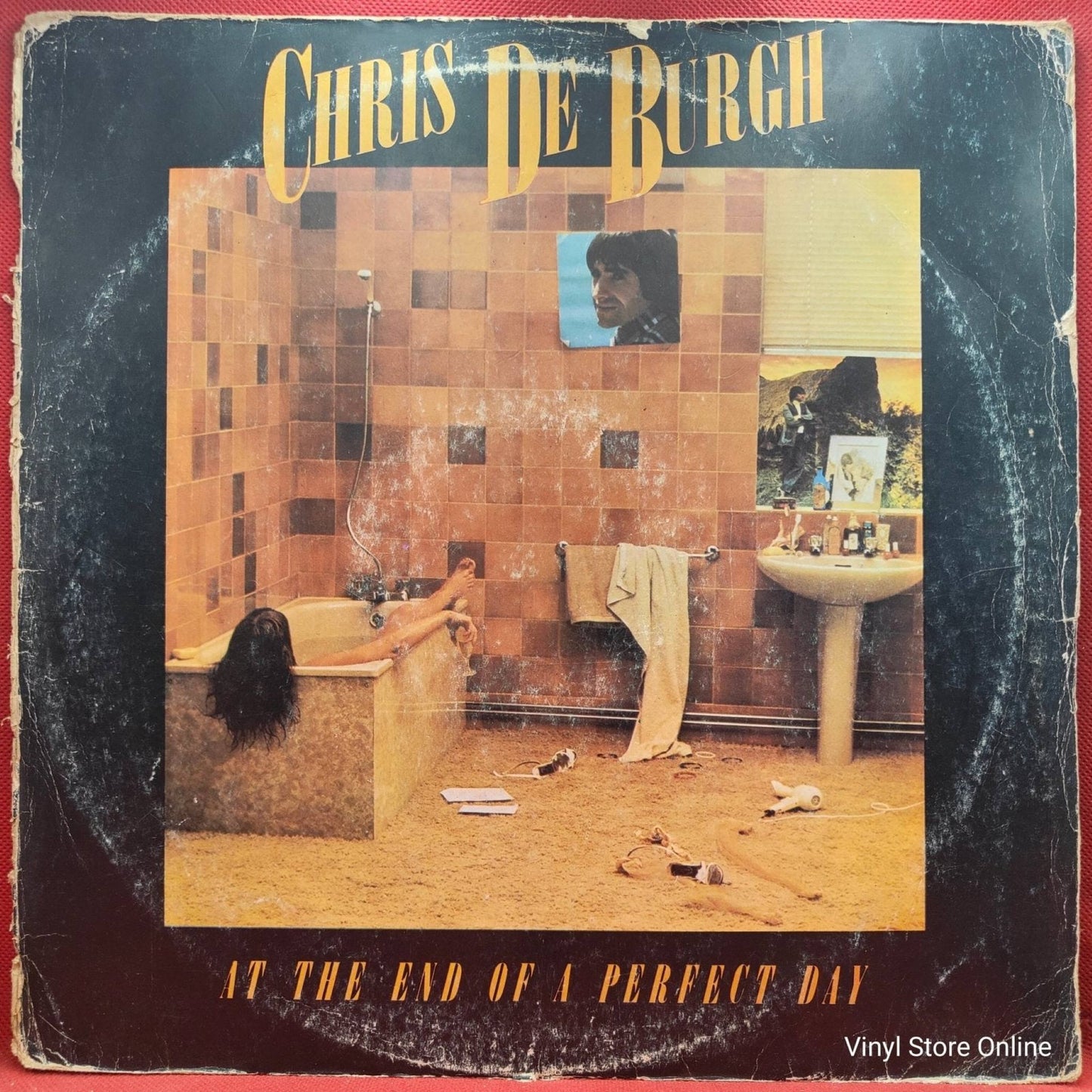 Chris de Burgh ‎– At The End Of A Perfect Day - Vinyl Store Online