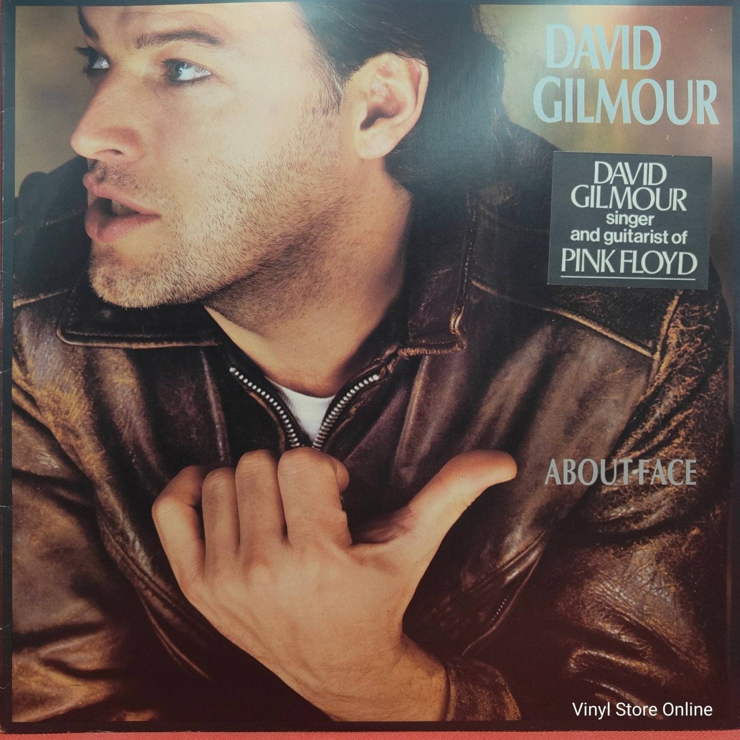 David Gilmour ‎– About Face - Vinyl Store Online