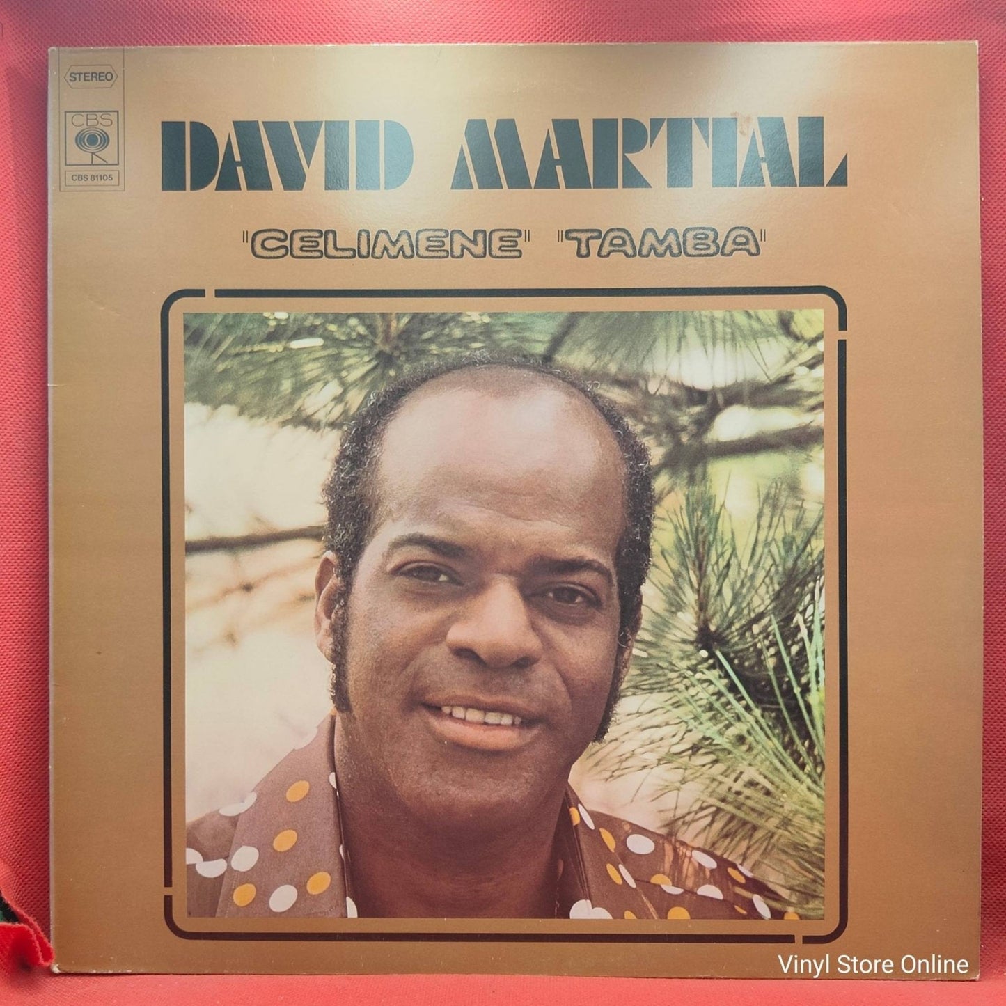 David Martial – Celimene Tamba - Vinyl Store Online
