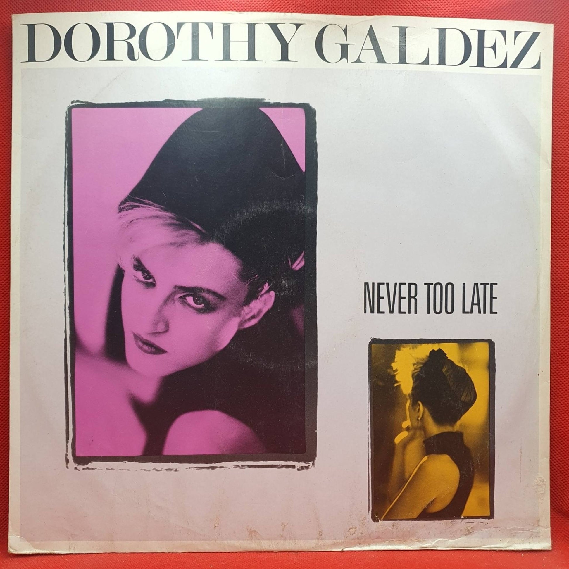 Dorothy Galdez ‎– Never Too Late - Vinyl Store Online