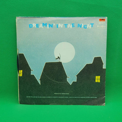 Dreamer And The Full Moon ‎– Dreamin' In The Night - Vinyl Store Online